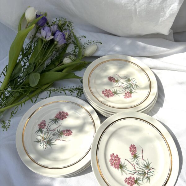 20 assiettes à dessert en faïence Le Moulins des Loups