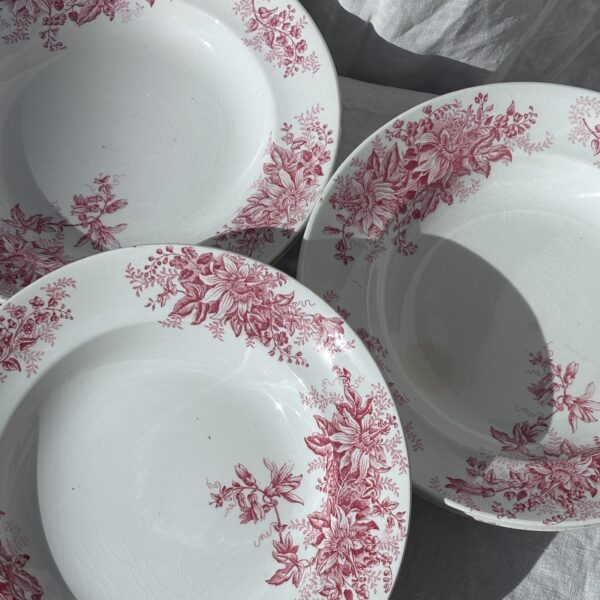 Lot 6 assiettes terre de fer fleuries roses